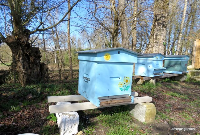Beehives made ready for Spring 2016