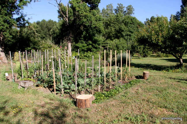 Vegetable garden-001