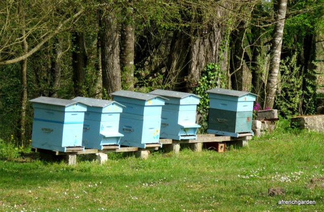 Our Hives Spring 2019